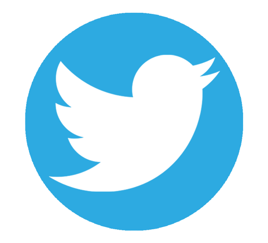 146 1461722 twitter circle twitter logo png transparent png removebg preview